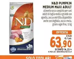 Maxi - Pumpkin Medium  Adult