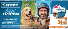 Seresto - Pulci-Zecche