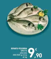 Reparto Pescheria Orata