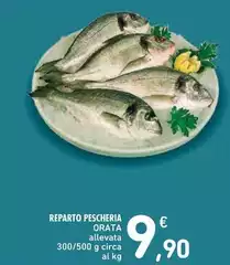 Reparto Pescheria Orata