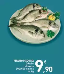 Reparto Pescheria Orata