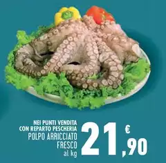 Polpo Arricciato Fresco