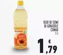 Semi - Olio Di Di Girasole Semi - Olio Di Di Girasole