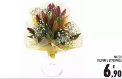 Mazzo Tulipani E Gypsophila
