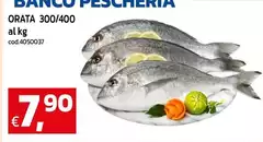 Orata 300/400