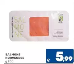 Salmone Norvegese Salmone Norvegese