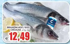 Cromaris - Branzini Cromaris - Branzini