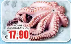 Piovre Decongelate Piovre Decongelate
