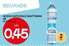 Sant'anna - Acqua Naturale