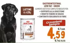 Royal - Gastrointestinal Low Fat - Umido