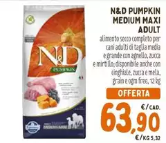 Maxi - Medium  Adult