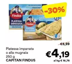 Findus - Platessa Impanata O Alla Mugnaia