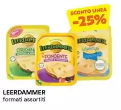 Leerdammer - Formati Assortiti
