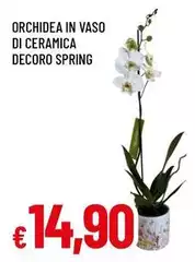 Orchidea In Vaso Di Ceramica Decoro Spring Orchidea In Vaso Di Ceramica Decoro Spring