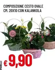 Composizione Cesto Ovale Cm. 20X10 Con Kalankola Composizione Cesto Ovale Cm. 20X10 Con Kalankola