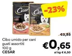 Cesar - Cibo Umido Per Cani