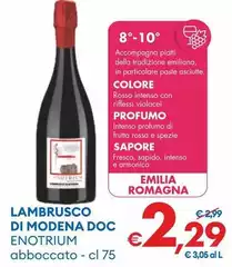 Enotrium - Lambrusco Di Modena DOC Enotrium - Lambrusco Di Modena DOC