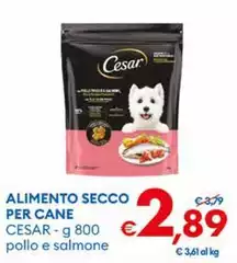 Cesar - Alimento Secco Per Cane