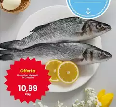 Branzino Alivato In Crocaza Branzino Alivato In Crocaza