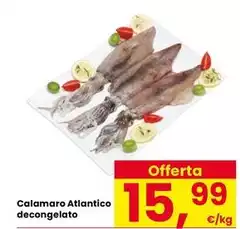 Calamaro Atlantico Decongelato