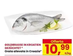 Orata Allevata In Croazia