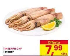 Tintenfisch Totano
