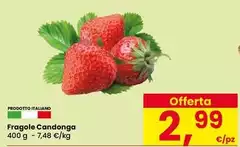 Fragole Candonga