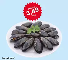 Cozza Fresca Cozza Fresca