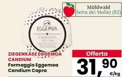 Candiom Formaggio Eggemoa Candiom Formaggio Eggemoa