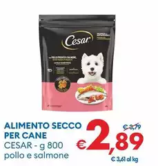 Cesar - Alimento Secco Per Cane