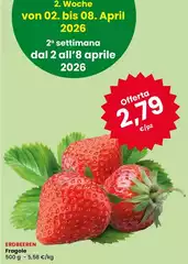 Fragole