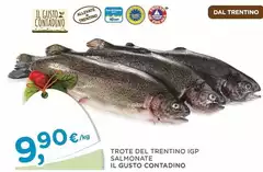 Il Gusto Contadino - Trote Del Trentino IGP Salmonate