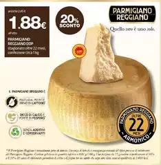 Parmigiano reggiano - Parmigiano Reggiano DOP