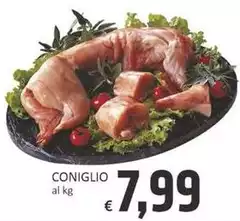 Coniglio