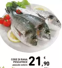 Rana - Code Di  Pescatrice