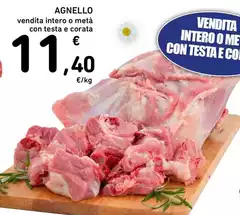 Agnello