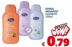Venus - Shampoo Venus - Shampoo