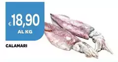Calamari