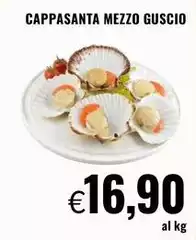 Cappasanta Mezzo Guscio Cappasanta Mezzo Guscio