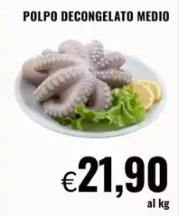Polpo Decongelato Medio Polpo Decongelato Medio