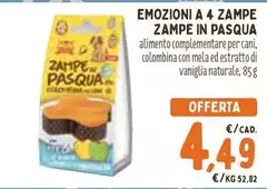 Pasqua - A 4 Zampe