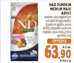 Maxi - Pumpkin Medium  Adult