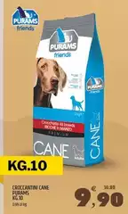Puros - Croccantini Cane Pirams Kg.10 Puros - Croccantini Cane Pirams Kg.10