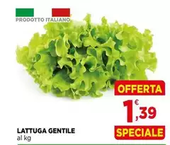 Lattuga Gentile