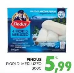 Findus - Fiori Di Merluzzo
