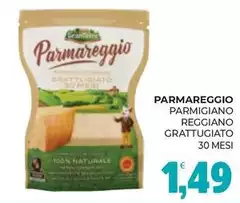 Parmareggio - Parmigiano Reggiano Grattugiato Parmareggio - Parmigiano Reggiano Grattugiato
