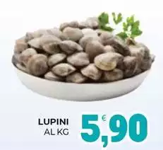 Lupini