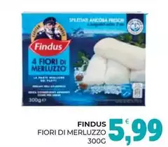 Findus - Fiori Di Merluzzo