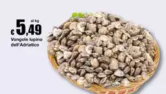 Vongole Lupino Dell'Adriatico