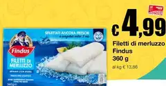 Findus - Filetti Di Merluzzo